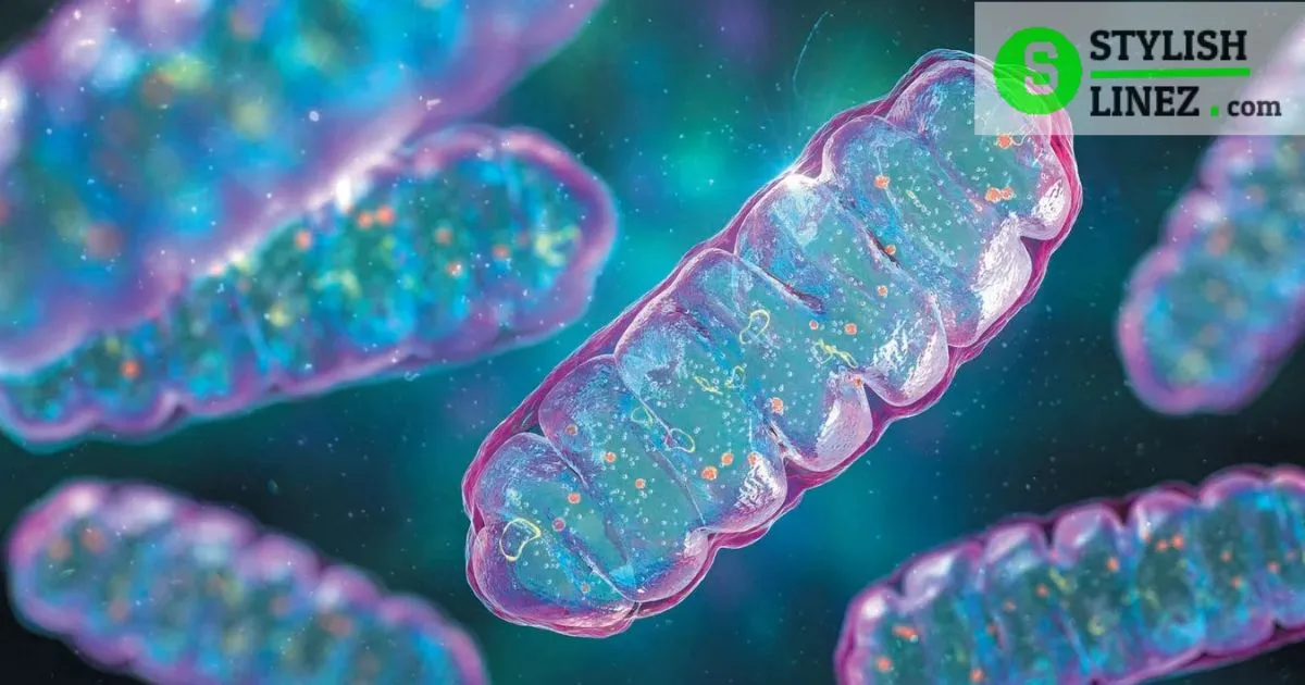 Mitochondria Pickup Line